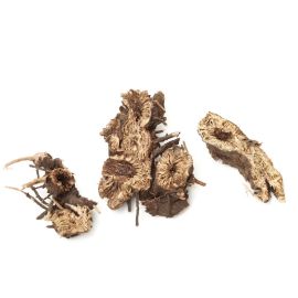 Black Cohosh Root