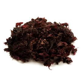 Dulse Leaf