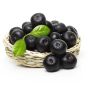 Acai Berry