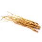 Astragalus Root