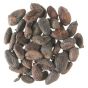 Cocoa Powder