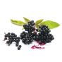 Elderberries