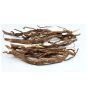 Eleuthero Root
