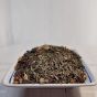 Baked Apple Spice Green Tea