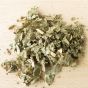 Lady's Mantle Herb