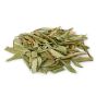 Lemon Myrtle