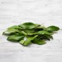 Lemon Myrtle