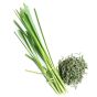 Lemongrass