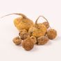 Maca Root