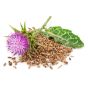 Milk Thistle Seed