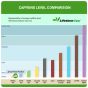 Ginger Peach Rooibos