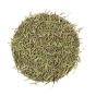 Rosemary