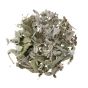 Sage Leaf