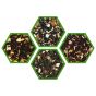 Flavored Black Set 3 (Pack of 4)
