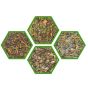 Functional Blends Set 1 (Pack of 4)