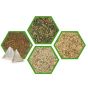 Functional Blends Set 2 (Pack of 4)