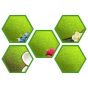 Flavored Matcha (Pack of 5)