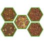 Flavored Rooibos Set 1 (Pack of 5)