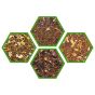 Flavored Rooibos Set 2 (Pack of 4)