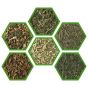 Japanese Green (Pack of 6)