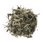 Silver Needle White Tea