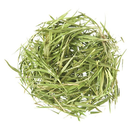 Bamboo Leaves