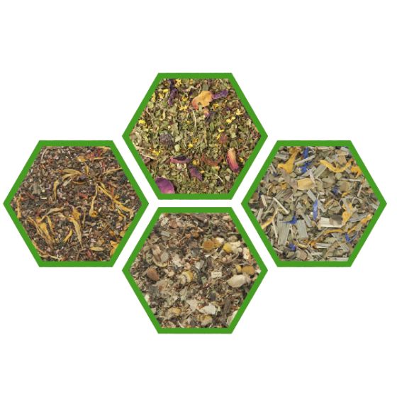 Functional Blends Set 1 (Pack of 4)