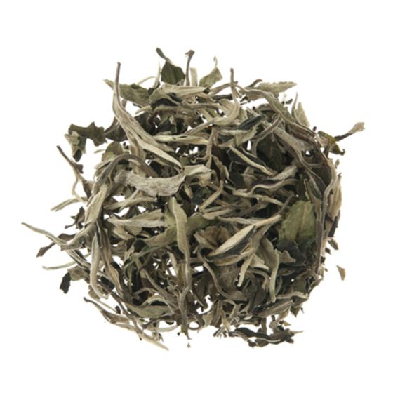 Silver Needle White Tea
